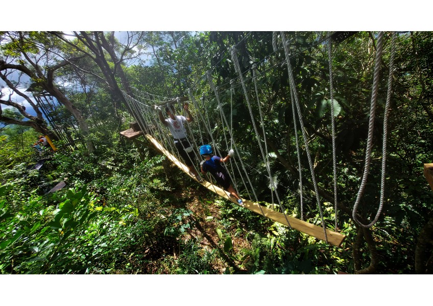 花蓮「野猴子探險森林」--令孩子印象深刻的體能訓練森林